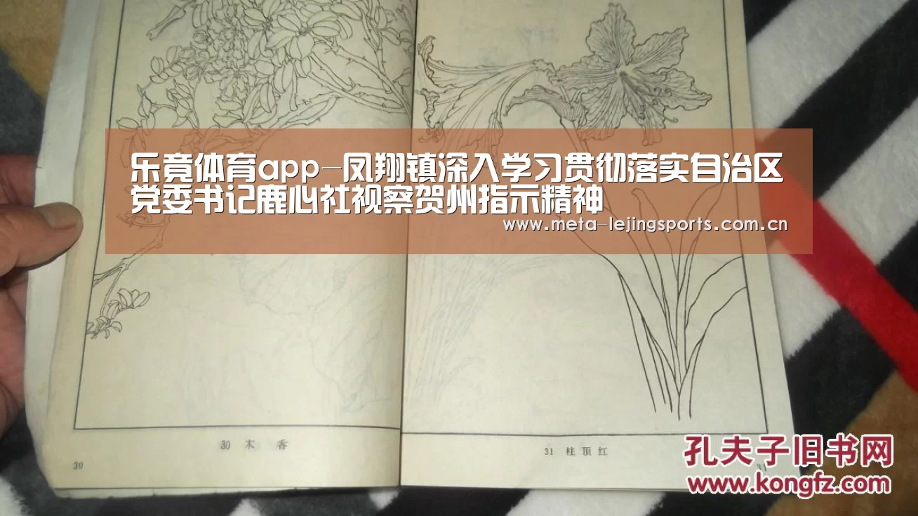 乐竟体育app-凤翔镇深入学习贯彻落实自治区党委书记鹿心社视察贺州指示精神(图1) 乐竟体育