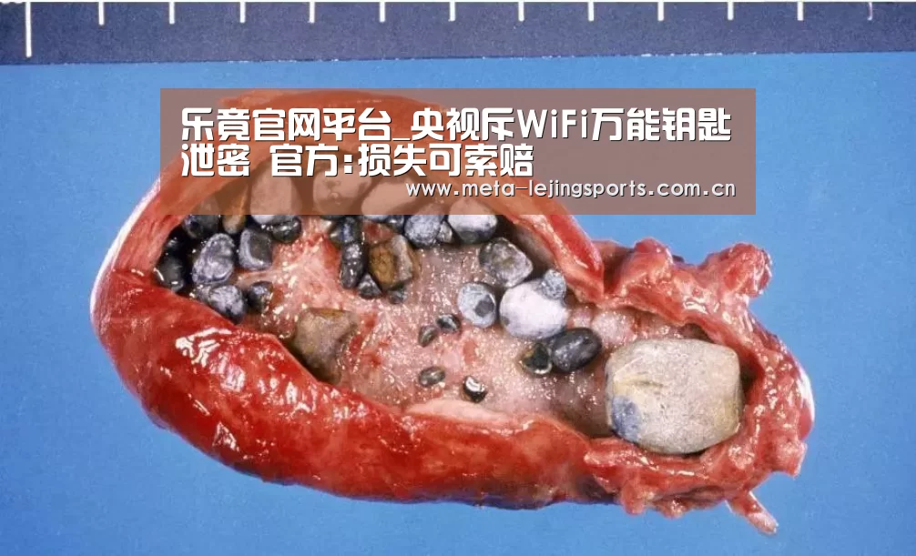 乐竟官网平台_央视斥WiFi万能钥匙泄密 官方:损失可索赔(图1) 乐竟官网平台