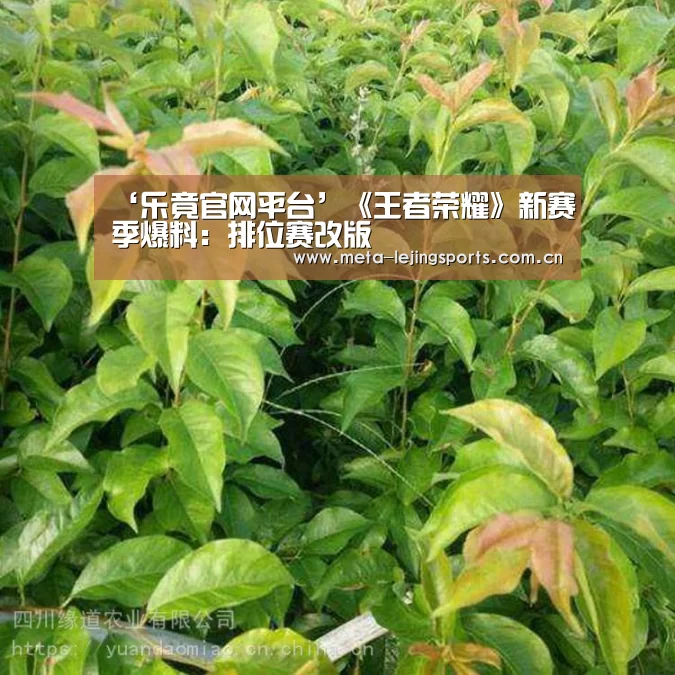 ‘乐竟官网平台’《王者荣耀》新赛季爆料:排位赛改版(图1) 乐竟官网平台